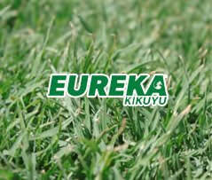 Eureka Kikuyu Turf Eureka Kikuyu Turf