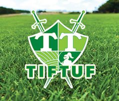 TifTuf Bermuda Turf