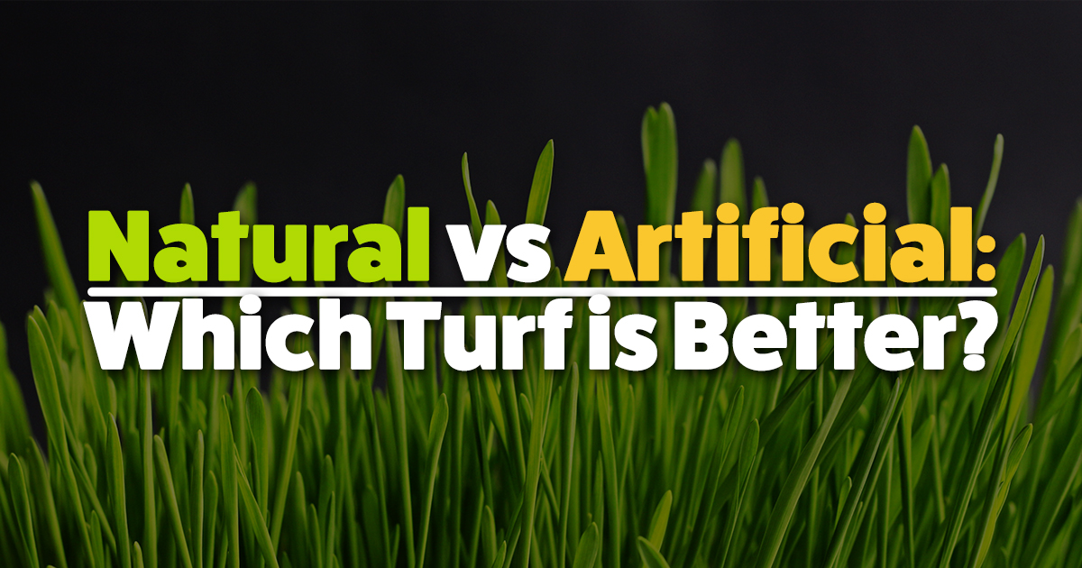 Natural vs Artificial which is better? J&B Buffalo Turf