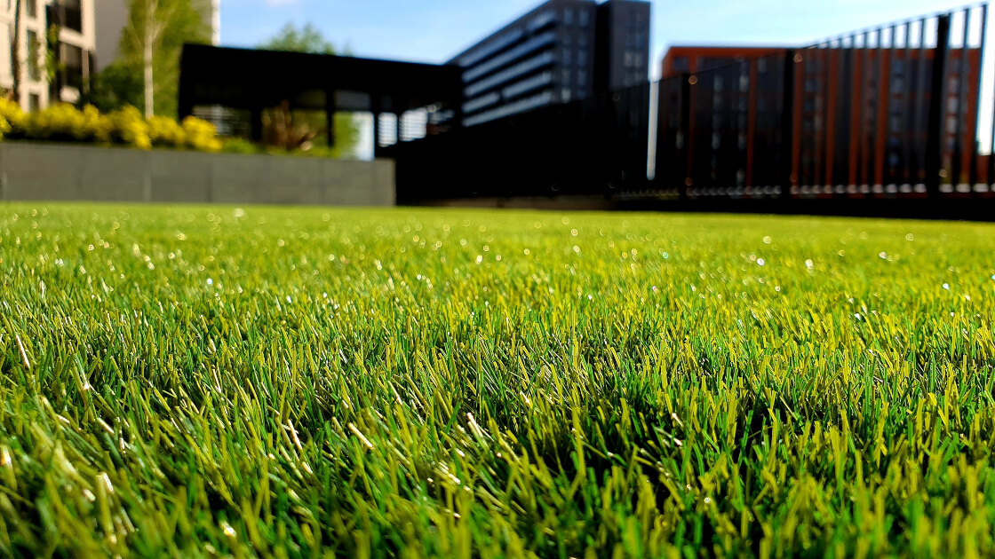 What happens to my grass if I don’t cut it? What happens to my grass if I don’t cut it?