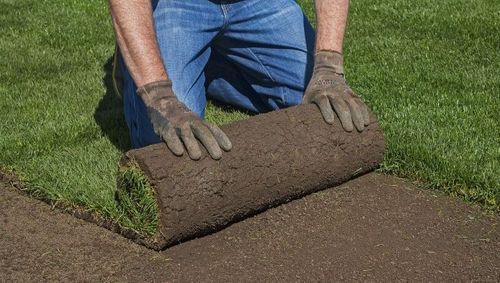 Turf Care Turf Care