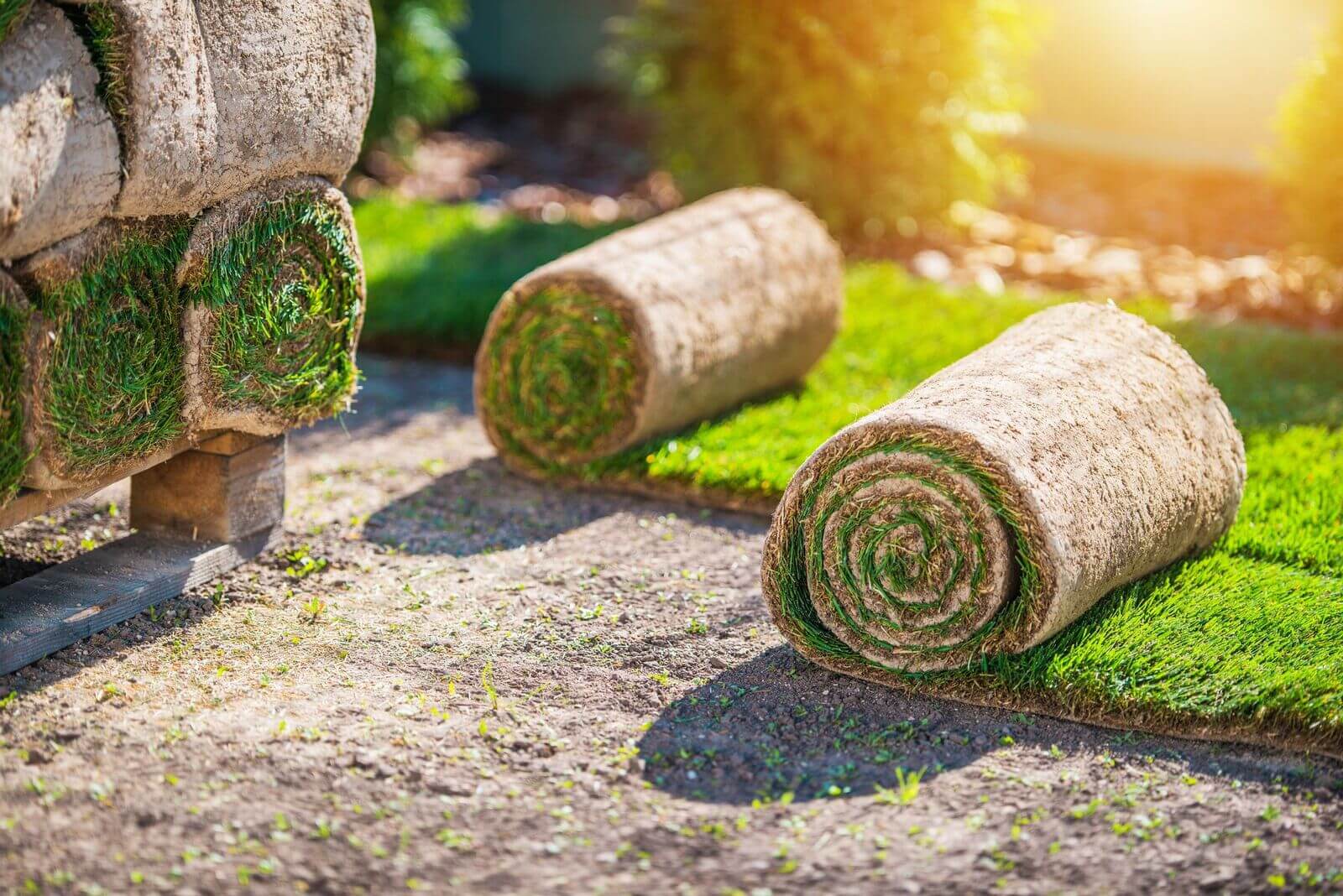 Rolls Rolls