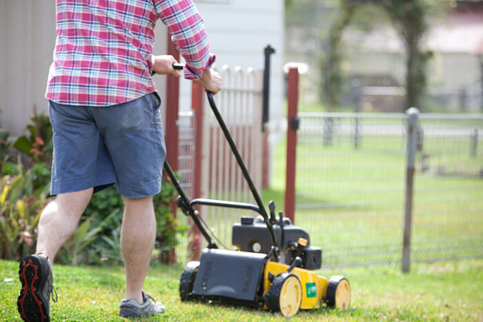 Mowing New Grass Mowing New Grass