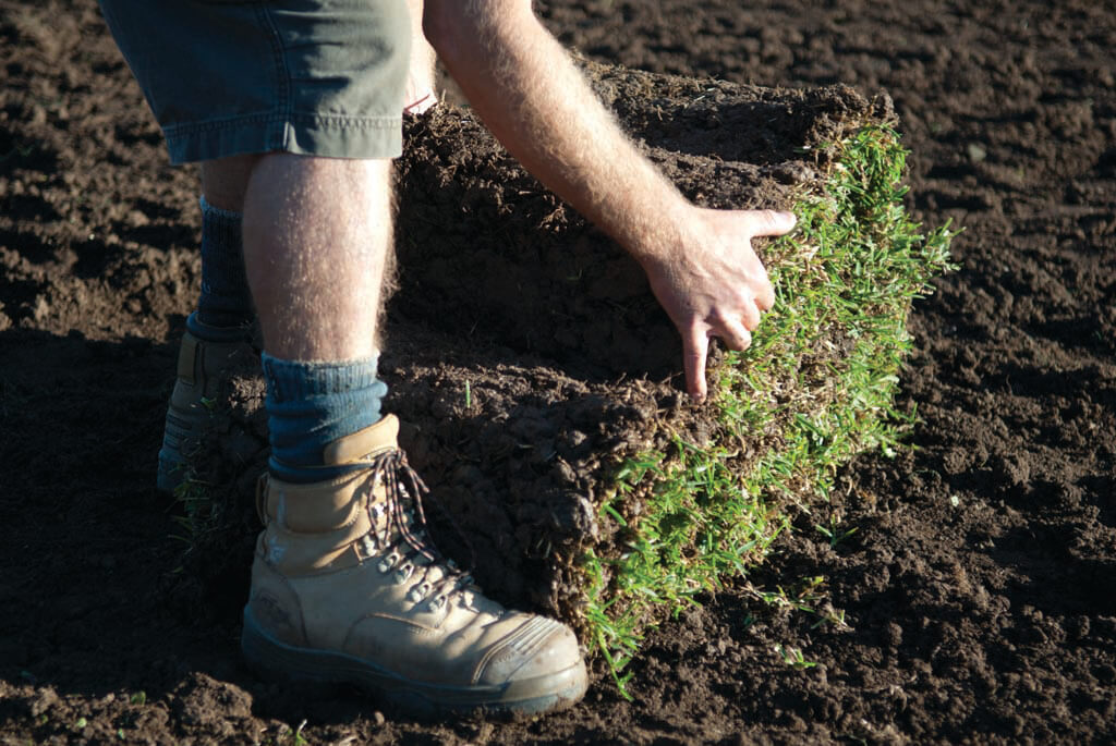 Lay your turf Lay your turf