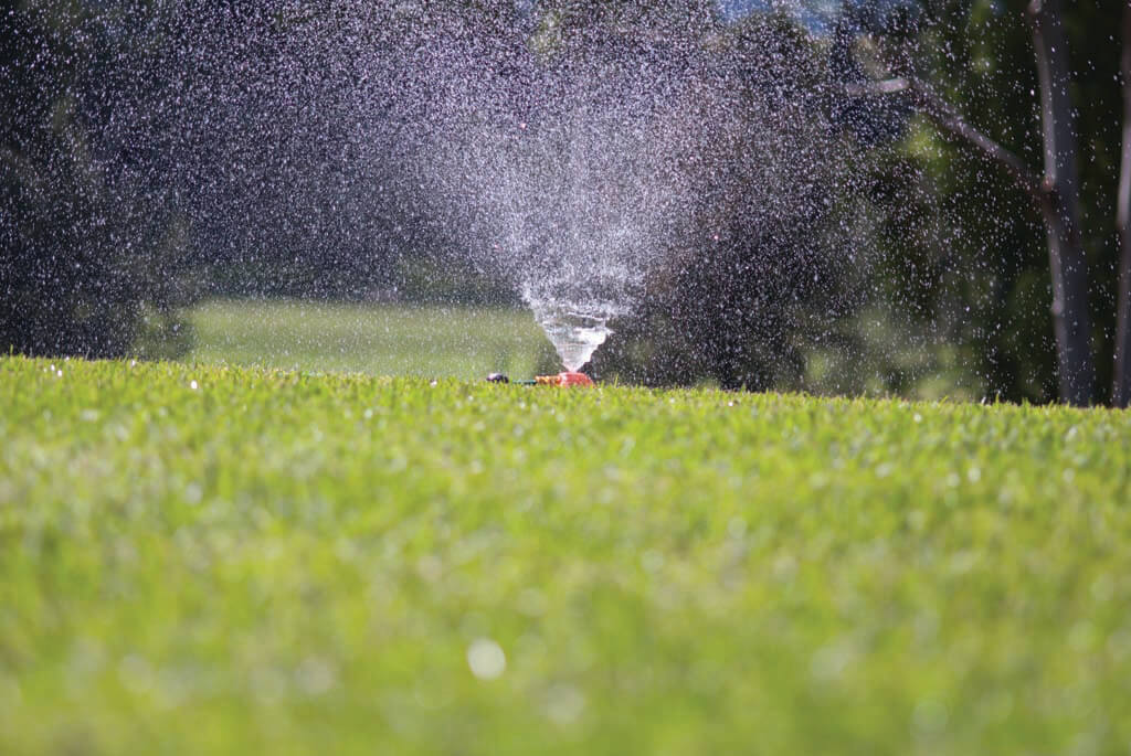 Watering and rain forecasts Watering and rain forecasts
