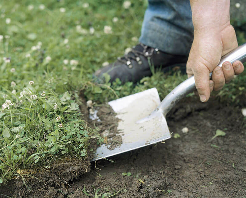 Remove existing grass Remove existing grass