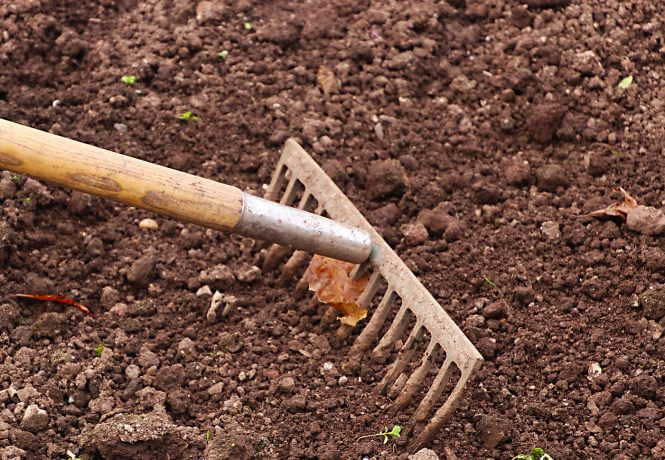 Lay your soil Lay your soil