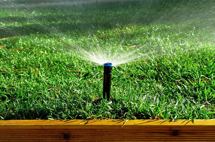 Water your turf Water your turf