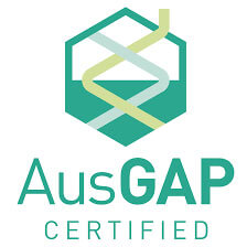 logo_ausgap logo_ausgap