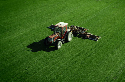 https://www.buffaloturf.com.au/wp-content/uploads/2020/07/perfect-lawn-2_opt.jpg https://www.buffaloturf.com.au/wp-content/uploads/2020/07/perfect-lawn-2_opt.jpg