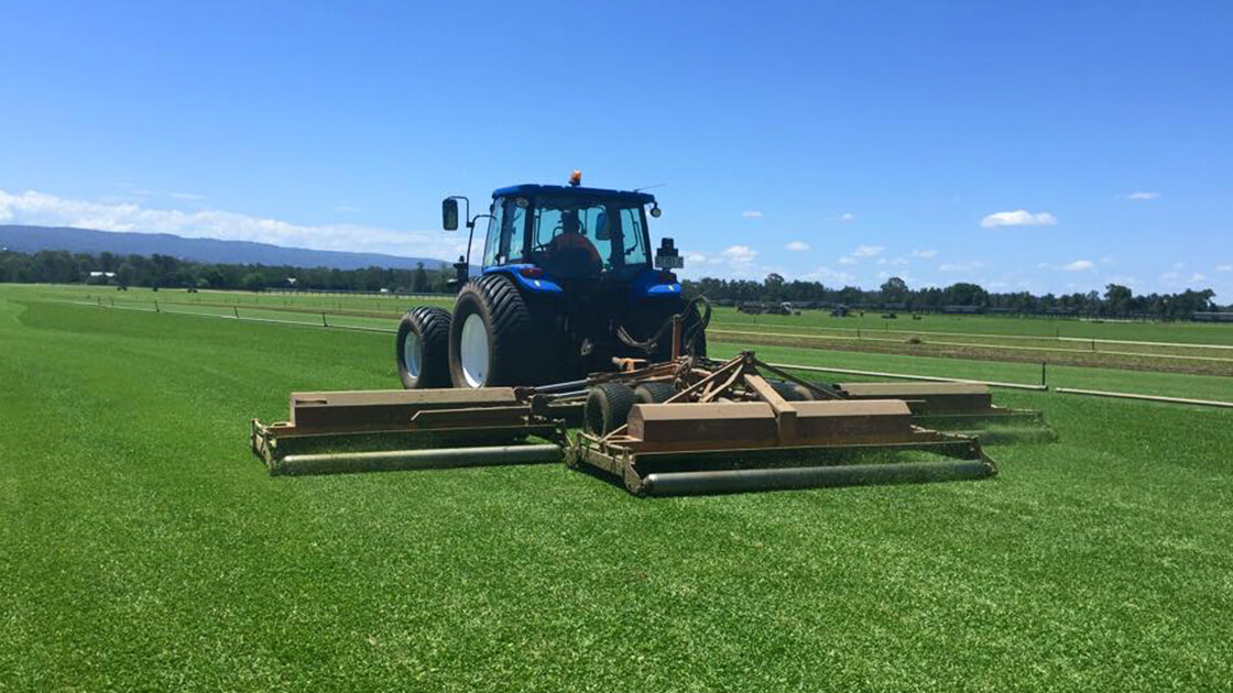 What to look for in a turf farmer What to look for in a turf farmer