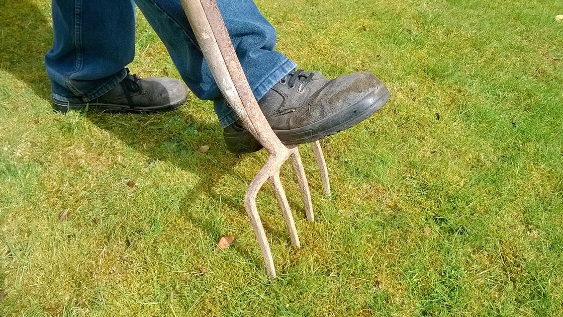 How can I aerate my lawn? How can I aerate my lawn?