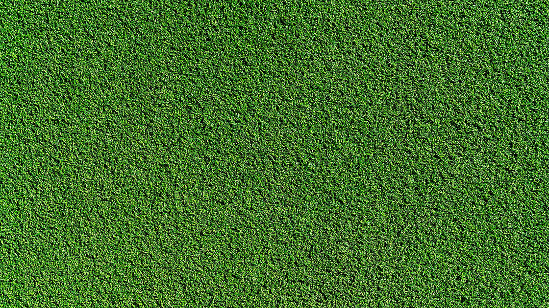 5 lawn care practices to avoid 5 lawn care practices to avoid
