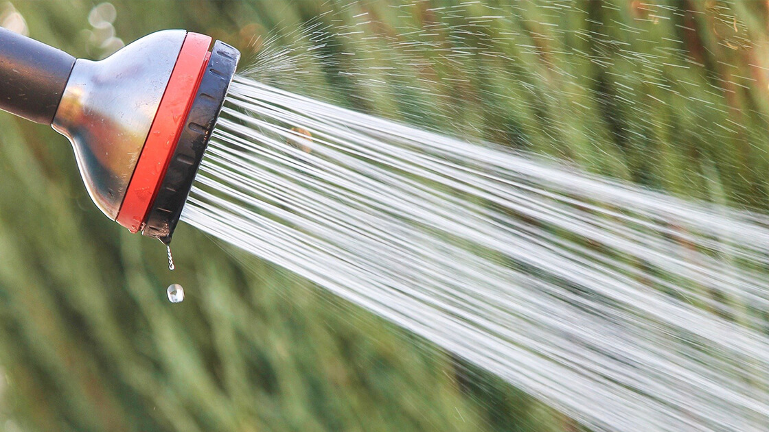 Sydney’s Water Wise Guidelines Sydney’s Water Wise Guidelines