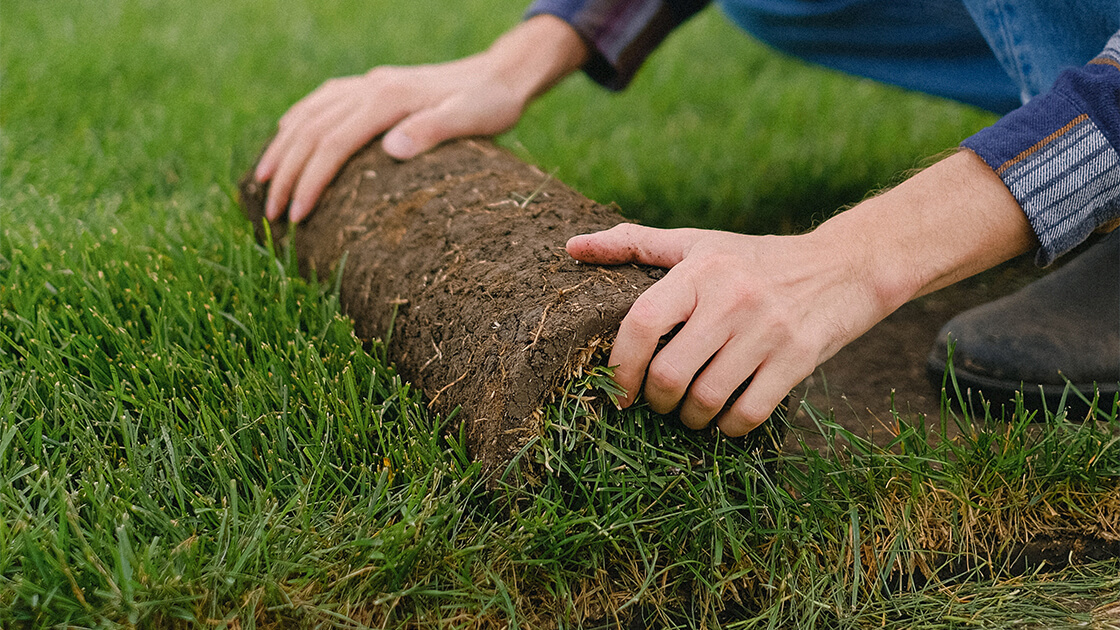 How to restore the quality of your soil How to restore the quality of your soil