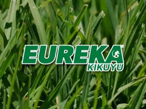 Eureka Kikuyu Turf Eureka Kikuyu Turf