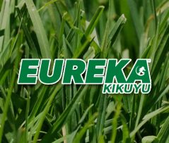 Eureka Kikuyu Turf Eureka Kikuyu Turf