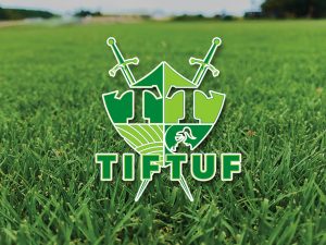 Tiftuf Bermuda Turf Tiftuf Bermuda Turf